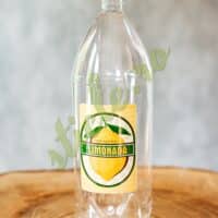 Sticla Plastic ECONOMIC 2 L