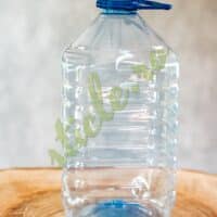 Sticla Plastic ECONOMIC 5 L + Capac D43