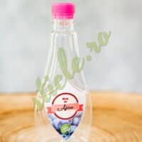 Sticla Plastic LERA 300 ML