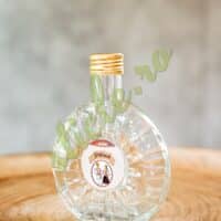 Sticla PLOSCA 100 ML