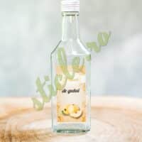 Sticla STOLNA 250 ML