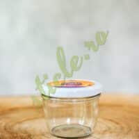 Borcan VERRINE JAR 230 ML