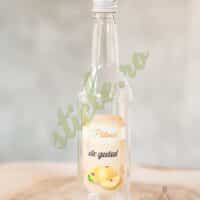 Sticla TINO 500 ML