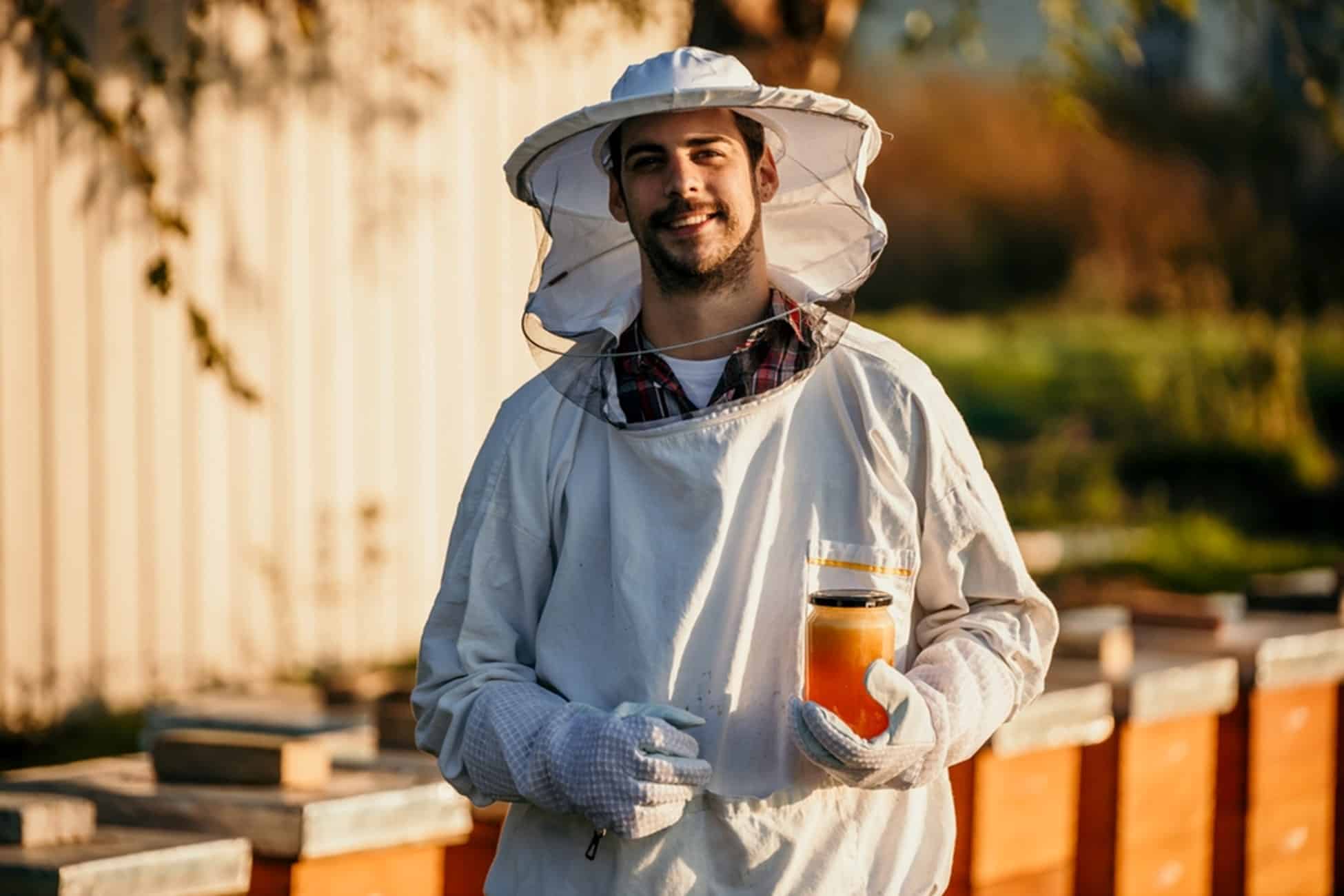 Foto Cum să începi o afacere de succes în apicultură? Sfaturi și recomandări utile